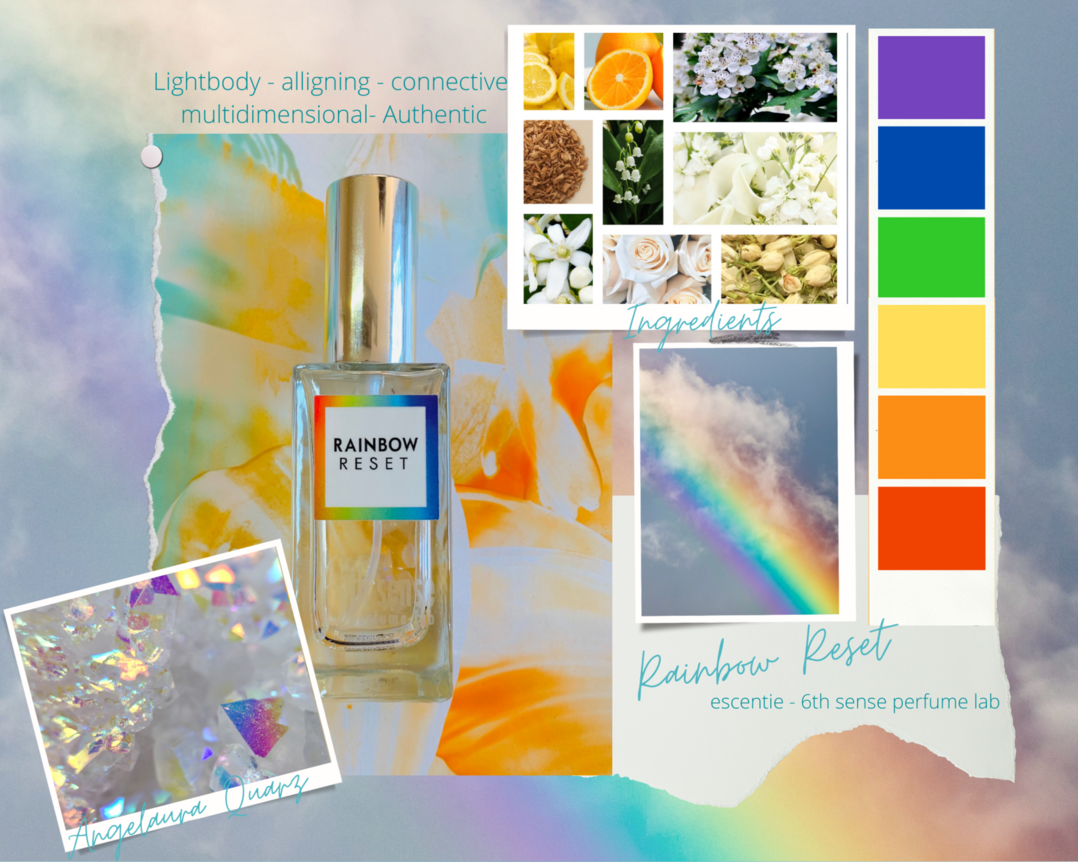 escentie Programma's 